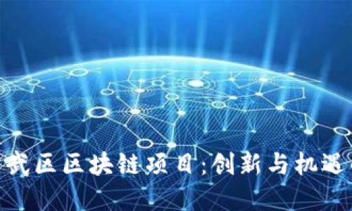 探索玄武区区块链项目：创新与机遇的结合