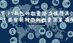 在此提供一些关于PT钱包的投资建议和考虑因素，