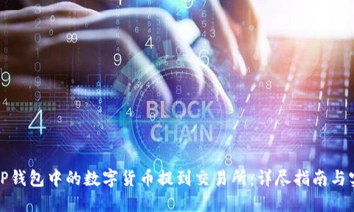 如何将TP钱包中的数字货币提到交易所：详尽指南与实操技巧