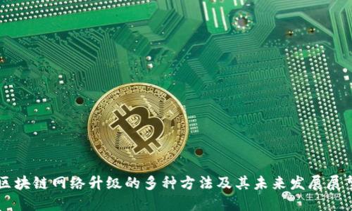 区块链网络升级的多种方法及其未来发展展望