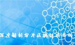 探索未来：深度解析分片区块链项目的创新与挑
