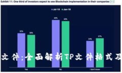 如何查看TP文件：全面解析TP文件格式及其使用方