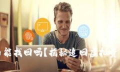 TP钱包被转走的币能找回吗？揭秘追回虚拟资产的