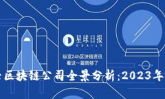 贵阳新兴区块链公司全景分析：2023年最新动态