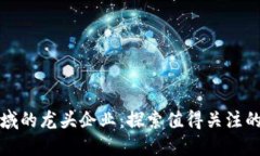区块链领域的龙头企业：探索值得关注的创新先