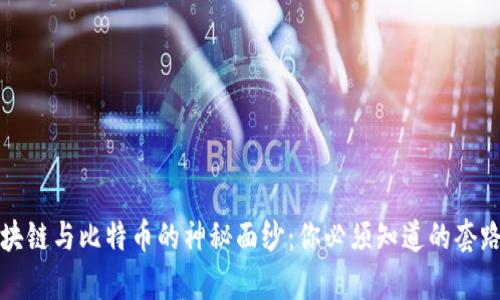 揭开区块链与比特币的神秘面纱：你必须知道的套路与真相