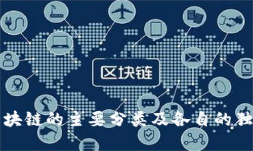 深入探讨区块链的主要分类及各自的独特应用场景