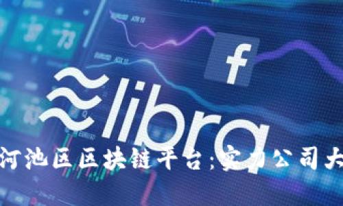 探秘河池区区块链平台：实力公司大揭秘
