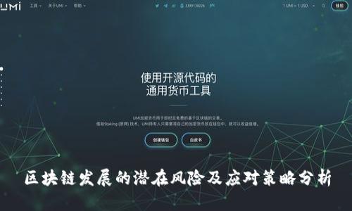 区块链发展的潜在风险及应对策略分析