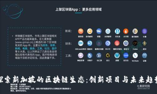探索新加坡的区块链生态：创新项目与未来趋势