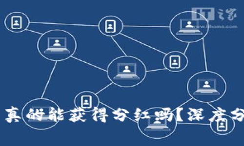 Doge币存入TP钱包真的能获得分红吗？深度分析与常见疑问解答