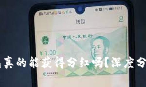 Doge币存入TP钱包真的能获得分红吗？深度分析与常见疑问解答
