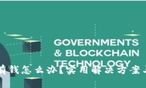 TP钱包没有钱怎么办？实用解决方案与新手指南