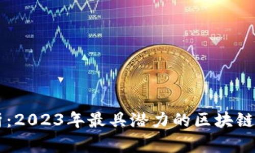 全面解析：2023年最具潜力的区块链公链项目