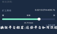 国家认可的区块链平台推荐：这些平台如何促进