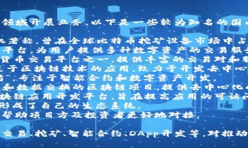 在国内区块链行业，有许多公司兴起并在不同领域开展业务。以下是一些较为知名的国内区块链公司，供您参考：

1. **比特大陆** — 以生产区块链硬件、矿机著称，曾在全球比特币挖矿设备市场中占据重要地位。
2. **火币网** — 一个大型的数字货币交易平台，为用户提供多种数字资产的交易服务。
3. **币安（Binance）** — 全球领先的数字货币交易平台之一，提供丰富的交易对和服务。
4. **猎豹移动（Cheetah Mobile）** — 涉足于区块链技术的应用，致力于开发去中心化应用（DApp）。
5. **NEO（小蚁）** — 被称为“中国的以太坊”，专注于智能合约和数字资产开发。
6. **Ontology（本体）** — 侧重于身份验证和数据交换的区块链项目，提供去中心化的数字身份解决方案。
7. **星云链（Nebulas）** — 提供方便的区块链应用开发平台，旨在提高应用的可访问性。
8. **Chaoex** — 提供数字货币交易平台，形成了自己的生态系统。
9. **Tokenomy** — 提供区块链金融服务，帮助项目方及投资者更好地对接。

这些公司涵盖了区块链科技的多个领域，包括交易、挖矿、智能合约、DApp开发等，对推动区块链技术的应用和发展起到了积极的作用。