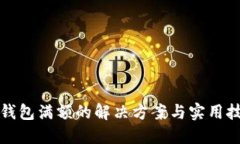TP钱包满额的解决方案与实用技巧