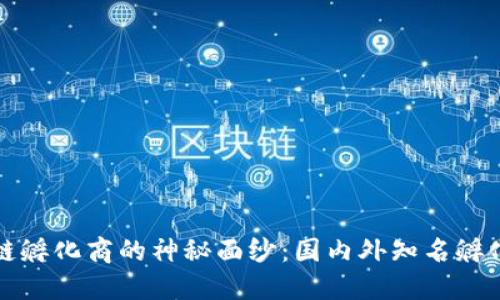 揭开区块链孵化商的神秘面纱：国内外知名孵化平台对比