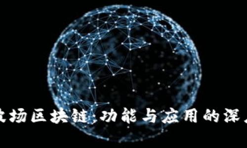 探索波场区块链：功能与应用的深度解析