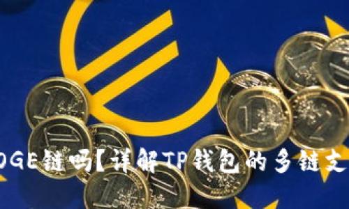 TP钱包支持DOGE链吗？详解TP钱包的多链支持与使用指南