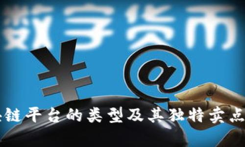 区块链平台的类型及其独特卖点解析