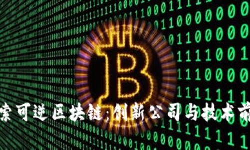 探索可逆区块链：创新公司与技术前沿