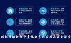 揭秘区块链经营系统的多元应用与未来潜力