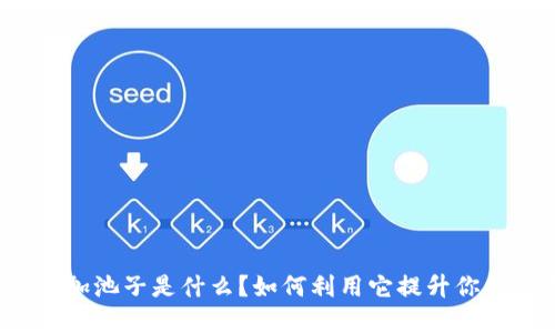 TP钱包的币加池子是什么？如何利用它提升你的投资收益？