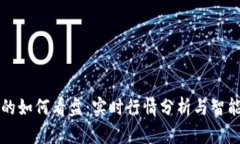 TP钱包中的如何看盘：实时行情分析与智能决策指
