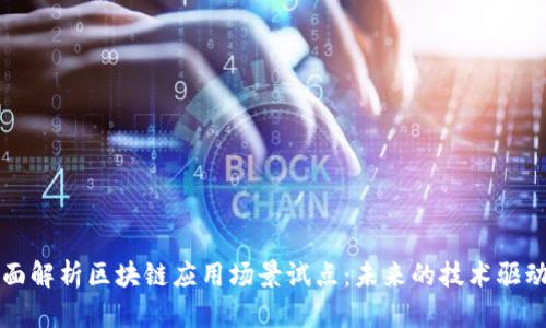 全面解析区块链应用场景试点：未来的技术驱动力