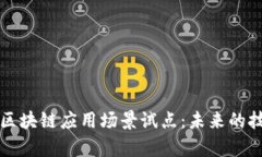 全面解析区块链应用场景试点：未来的技术驱动