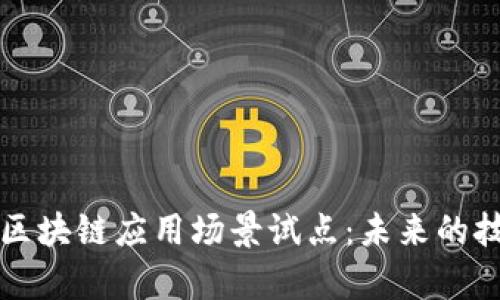 全面解析区块链应用场景试点：未来的技术驱动力
